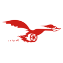 Roadrunner Glass logo